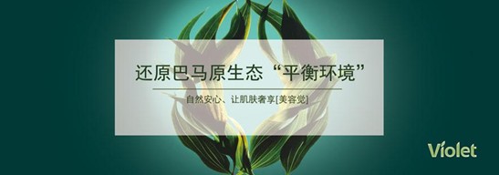 紫羅蘭生機家紡:首創益生菌生物抗菌技術