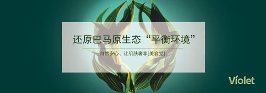 凈入睡眠,賴上Violet生機家紡