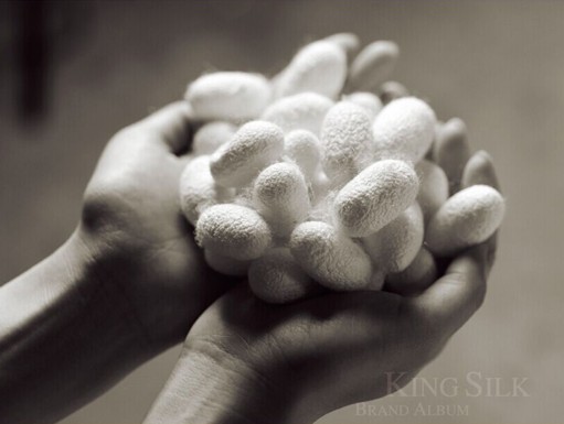 縱使歲月荏苒 錢皇仁愛情懷永不退轉(zhuǎn)