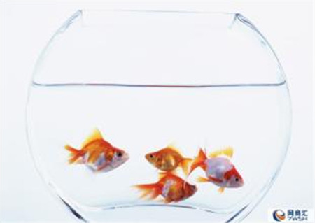 堂皇生活:家居用品除濕,過(guò)個(gè)“干爽”梅雨季