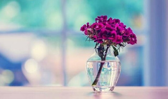 紫羅蘭家紡:當花卉遇上天絲,瞬間被它的柔滑融化