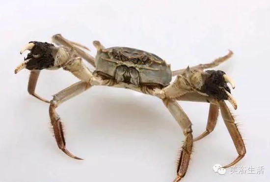 ԡÂĴlззSʳзȯзë