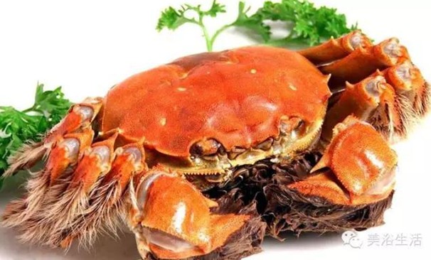 ԡÂĴlззSʳзȯзë