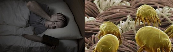 ���z�R�����_�����B���ܼҾ�4.0�r��