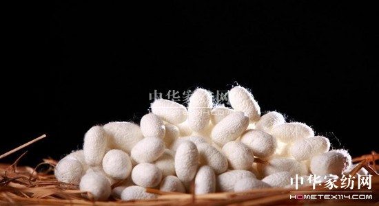 ���z�R�����_�����B���ܼҾ�4.0�r��