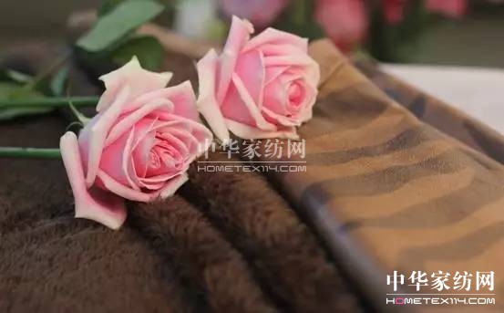 ƤƤɳlǺƤ2017ϺﶬҼչƤIȻ@ôîaƷ