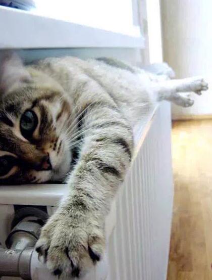 夕禾絲綢學(xué)堂——被說