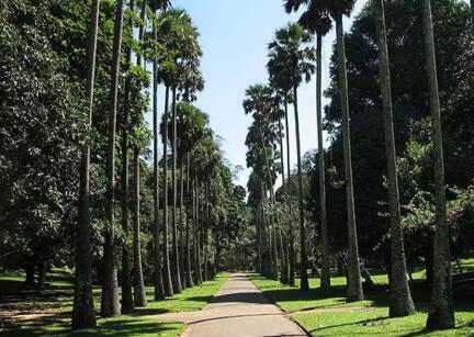 博洋嬰童:純天然乳膠枕讓睡眠回歸本質(zhì)