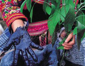 睡康寧家紡天然植物印染工藝