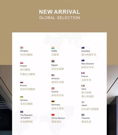 博洋家紡:全球臻選,開(kāi)辟中國(guó)家紡“絲綢之路”