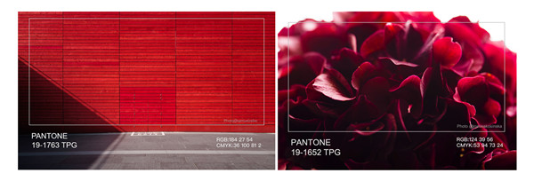 中國流行色協會發布本季家居流行色——國色·天香紅