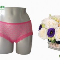 竹纖維新款女士?jī)?nèi)褲