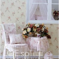 ·��ѩ�R ���繫���α�����