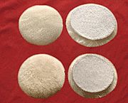 �� �����ܶ���ë�� ����݆ ����ë�� ��