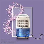 ����C(j��)