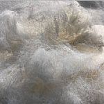 ϺD(zhun)ӡ]ӯϺ(yu)|(zh)Ůb