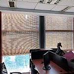 ɶɶ񺟡ɶ񺟶ߴ